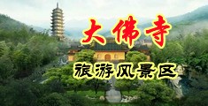 性感美女被肏小网站中国浙江-新昌大佛寺旅游风景区